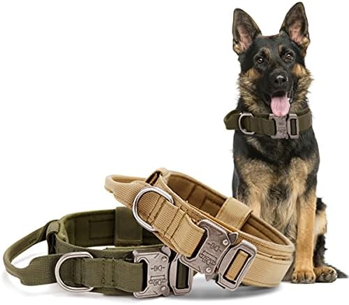 Premium K9 Taktik köpek tasması, Saplı ve Tokalı Ağır Hizmet Tipi köpek tasması, Askeri Köpek Ordu Yeşili