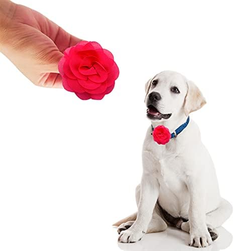 PET GÖSTERİSİ 12 adet Gül pembe köpek tasması Yaylar ve Çiçekler Eki Kızlar için Yavru Kediler Kadın Küçük Orta Köpekler