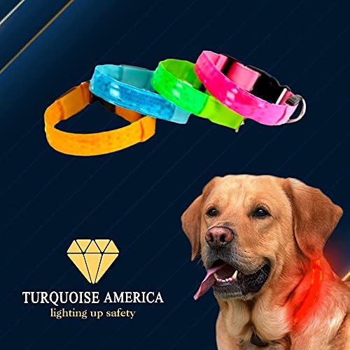TURKUAZ AMERİKA LED Köpek Yaka-Light up Köpek Yaka, LED Glow Pet Yaka, USB Şarj Edilebilir Köpekler LED Yaka