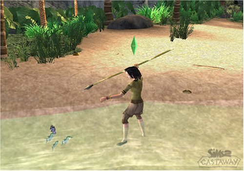 Sims 2: Kazazede-Nintendo Wii (Yenilendi)