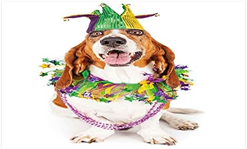 Ambesonne Mardi Gras Seramik Diş Fırçası Tutacağı, Şakacı Şapka Takan Mutlu Gülümseyen Basset Tazı Köpeği Boyun Çelenk