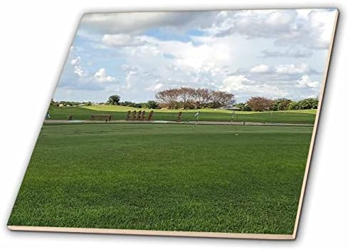 Lehigh Acres Florida'daki Yeşilliklerin 3dRose Görüntüsü-Fayans (ct-371719-3)