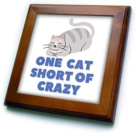 Çılgın Çerçeveli Fayanslardan Kısa Bir Kedinin Metniyle 3dRose Sevimli Kedi Görüntüsü (ft-372204-1)