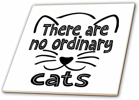 3dRose Sandy Mertens Kedi Tasarımları-Sıradan Kediler Yoktur Siyah Çizgi Sanatı-Fayans (ct_356755_1)